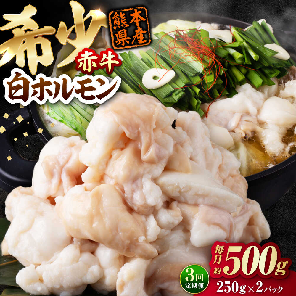 【ふるさと納税】【全3回定期便】 赤牛 ホルモン 500g（250g×2パック） / お肉 肉 牛肉 あか牛 小腸 シロホルモン もつ 熊本県産 冷凍【五右衛門フーズ熊本店】[AYBV007]