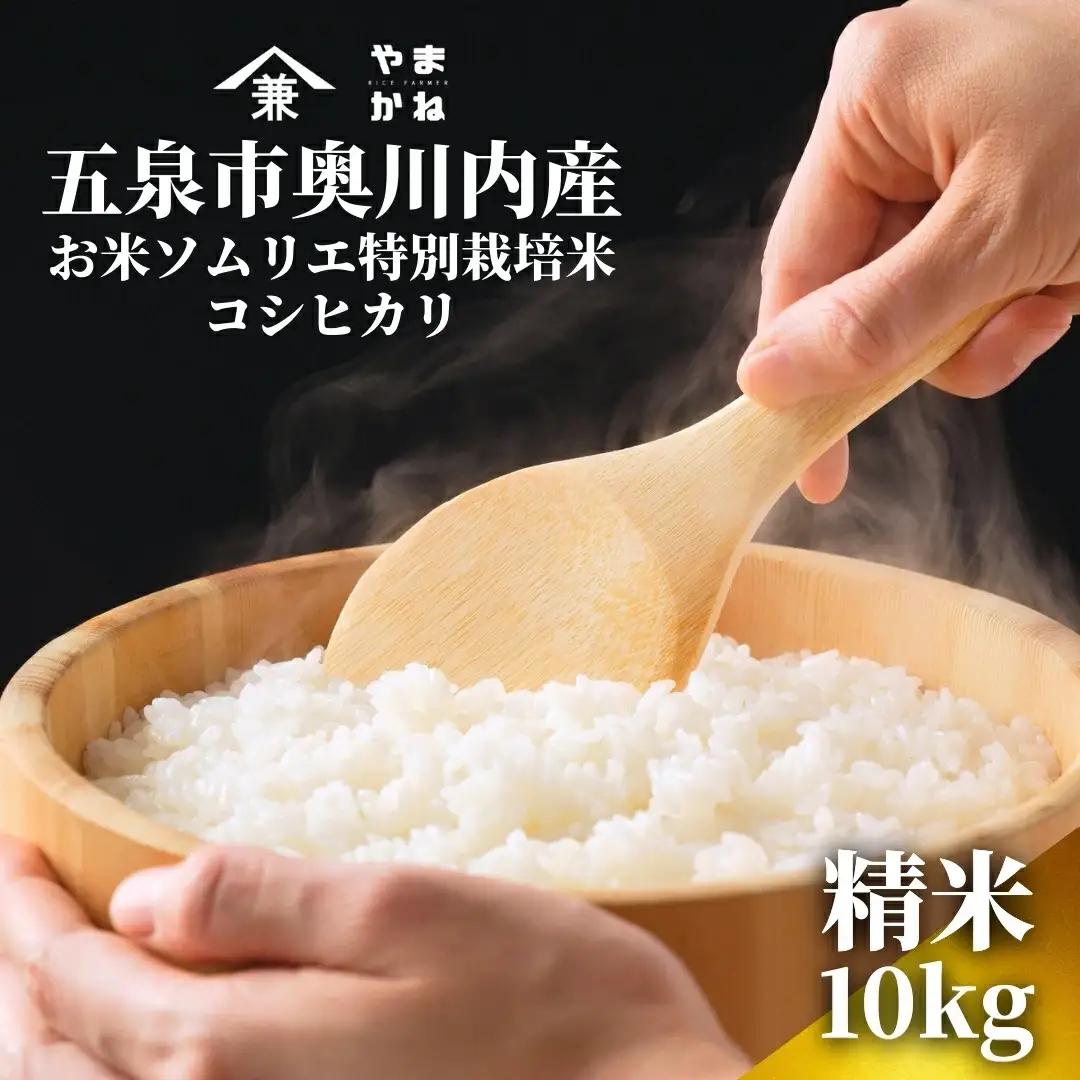 【先行予約】令和8年産 コシヒカリ 10kg(5kg×2袋) 色彩選別済み こしひかり | 新潟県 五泉市 コシヒカリ