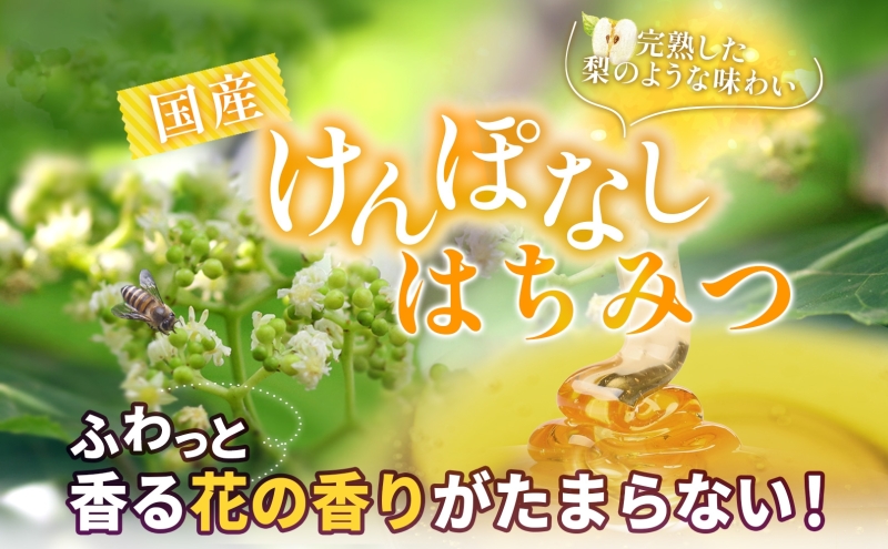 藤原国産蜂蜜 けんぽなし 160g はちみつ ケンポナシ 玄圃梨 国産 単花蜜 朝しぼり 完熟 ハチミツ パン 菓子 トースト ホットケーキ ヨーグルト 調味料 隠し味 お取り寄せ 瓶 容器 常温 常