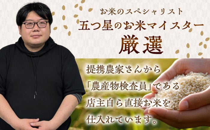 お米 米 ご飯 白米 白ご飯 10㎏ お弁当 精白米 精米