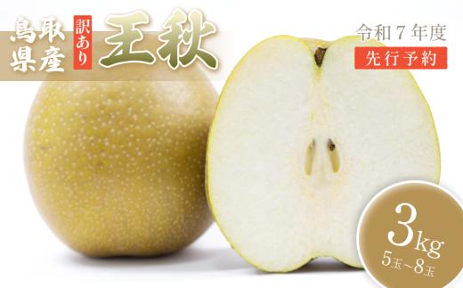（訳あり）中野農園 梨 ”王秋梨” 3kg箱｜鳥取 岩美 梨 なし ナシ  赤梨 果物 フルーツ【41050】