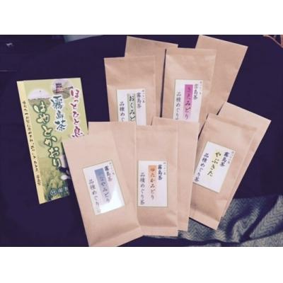 ふるさと納税 霧島市 霧島茶　はやとかおり(詰合せ)　品種めぐり茶2セット【マル竹園製茶】　D-006