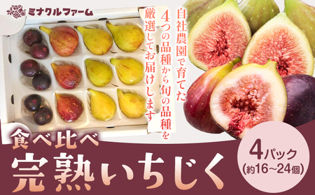 完熟いちじく ミナクルファーム 食べ比べ　フルーツ 果物 くだもの いちじく イチジク 無花果 完熟 《8月中旬-10月上旬頃出荷》熊本県 苓北町