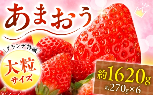 あまおう いちご 1620g（約270g×6パック）【2027年3月初旬より順次発送】 《築上町》【株式会社HSP-テクノ】[ABFG002] いちご アマオウ 生いちご あまおう くだもの あまおういちご ブランドいちご フルーツ 果物 苺 amaou 九州 あまおう 博多あまおう 福岡 福岡県産 イチゴ strawberry 福岡県 博多あまおう お取り寄せ 冷蔵 18000 18000円