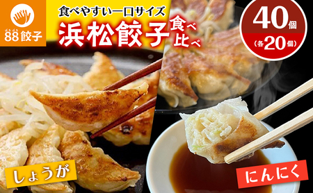 浜松餃子 88ぱちぱち餃子 40個(にんにくあり20個・にんにくなし20個)
