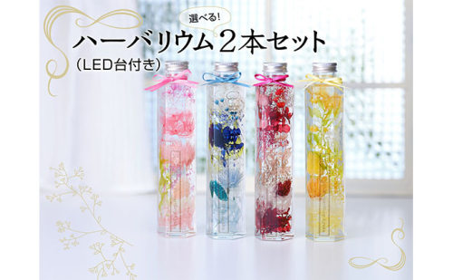 ハーバリウム2本（紫色・赤色）＆LED台 植物 インテリア インテリアグッズ