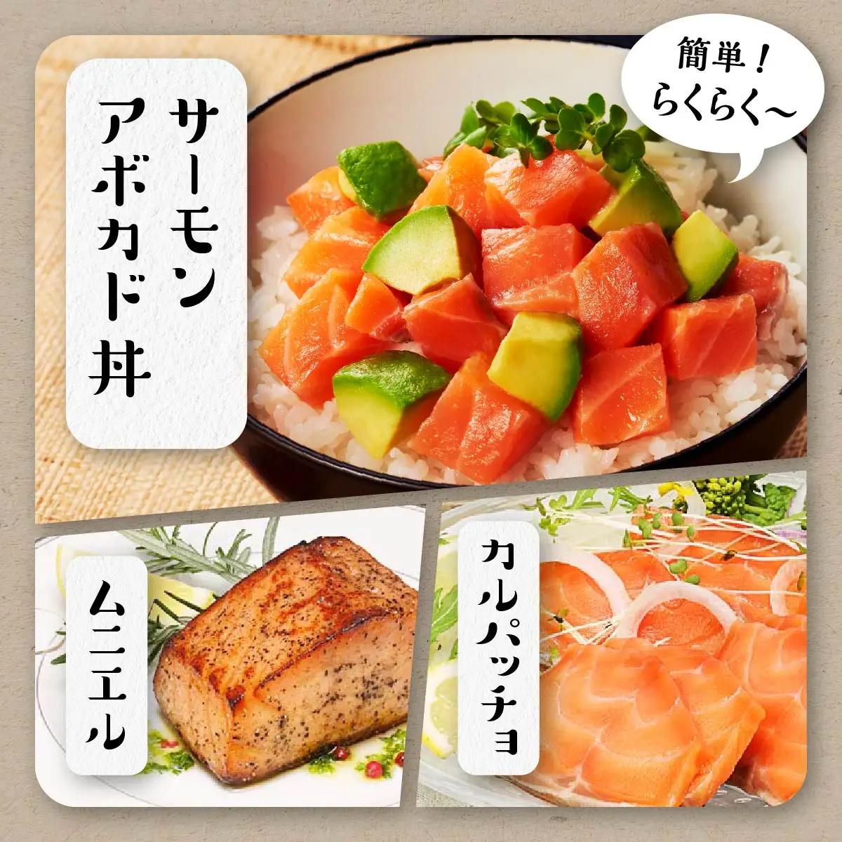 エンペラーサーモン≪プレーンタイプ≫【1.8kg】_T029-0913