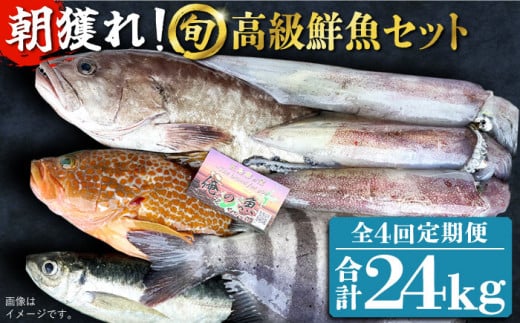 【全4回定期便】【五島列島直送】朝獲れ高級鮮魚セット6kg 五島市 / 鯛福丸水産[PDP007] 魚 鮮魚 セット 海鮮 直送 さかな 詰合せ 冷蔵 定期