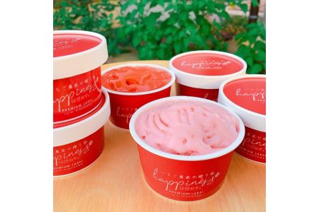 いちご農家の自家製SWEETS いちごと季節の野菜・フルーツのアイスクリーム 家庭用アソート 12個入◆