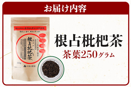 根占枇杷茶 徳用茶葉  1袋（250g入）煮出し用 | ねじめ びわ茶 国産 大容量 トルマリン石 焙煎 健康茶 お茶 煮だし 飲みやすい 香ばしい おいしい びわの葉 鹿児島県 南大隅町 十津川農場