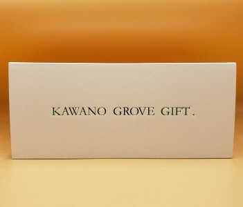 高知県 土佐市産 Konatsu Drink KD 20％ 160ml (6本入) 高知県 土佐市【川野果樹園】 [BQCB001]