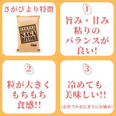 ふるさと納税 伊万里市 令和6年産【無洗米】さがびより5kg*夢しずく5kg《計10kg》佐賀のお米食べ比べ! |  | 01