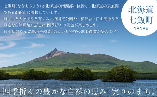  訳あり 北海道七飯町産とうもろこし「朝採れゴールドラッシュ8～13本」（L～2L） 【 ふるさと納税 人気 おすすめ ランキング とうもろこし ゴールドラッシュ おいしい 北海道 七飯町 送料無料 
