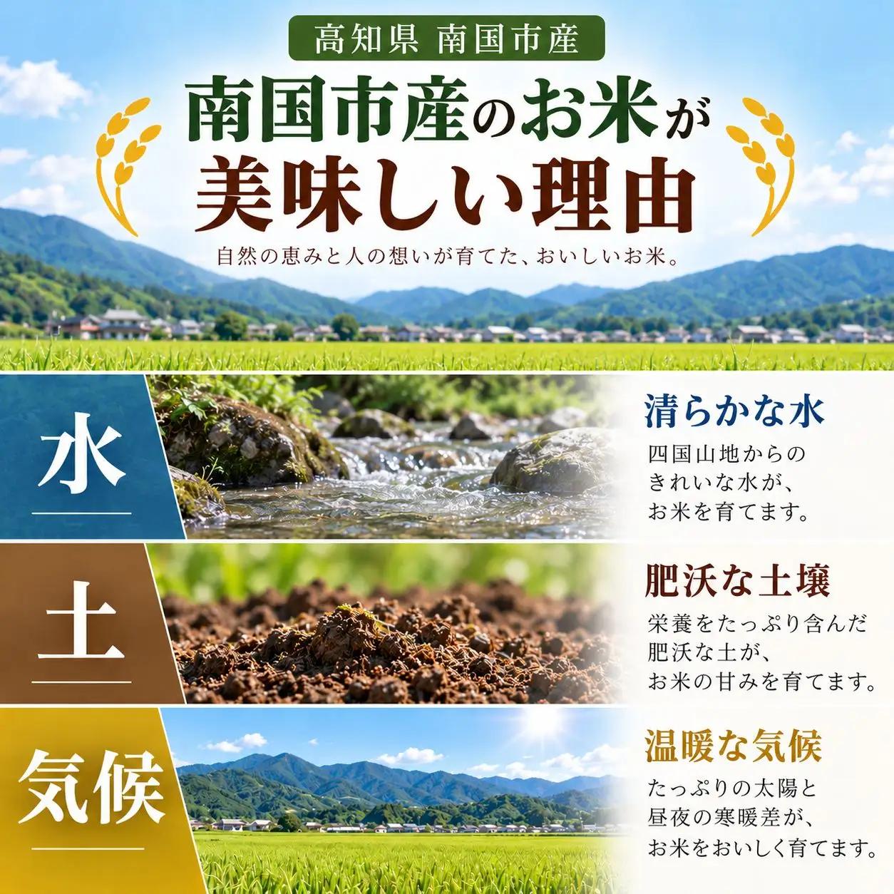 新米 令和8年産 玄米 コシヒカリ 5㎏ 数量限定 | 高知県 南国市 コシヒカリ 5キロ
