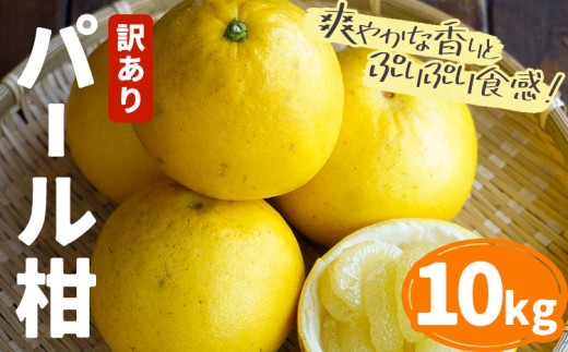 【2027年先行予約】訳あり パール柑 約10kg 都呂々みかん生産者グループ《2027年3月上旬-4月中旬頃出荷予定》熊本県 苓北町 みかん 果物 フルーツ