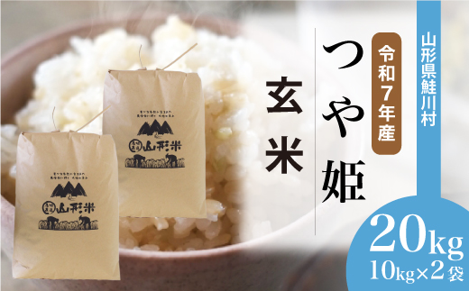 ＜令和7年産米＞ 令和8年6月下旬発送　特別栽培米 つや姫 【玄米】 20kg （10kg×2袋） 鮭川村