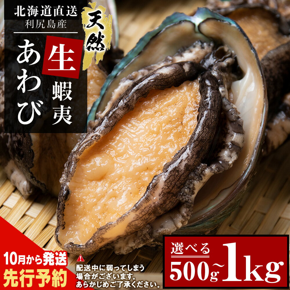 【ふるさと納税】 あわび 北海道 利尻島産 直送！天然 生えぞあわび 選べる500g～1kg 鮑 海鮮 冷蔵 お刺身 魚介 お祝い【福士水産】北海道ふるさと納税 利尻富士町 ふるさと納税 北海道産アワビ 産地直送 美味しさに 訳あり 蝦夷あわび