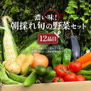 【ふるさと納税】＜奇数月6回定期便＞濃い味！朝採れ旬の野菜セット【12品目】 採れたて 野菜 詰め合わせ セット 春 夏 秋 冬 旬の野菜 おまかせ 12品目 新鮮 岐阜県 中津川市 F4N-1623