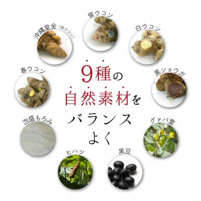ふるさと納税 南城市 沖縄県産4種のウコンと5種の美健素材　植物性サプリメント【SAKEKING4包入り×3個セット】 |  | 02