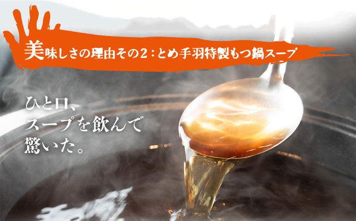 【自宅で楽しむ本場の味】九州名物 とめ手羽 博多 もつ鍋 九州しょうゆ味 2-3人前＜株式会社フェリックス＞那珂川市 [GCE003]