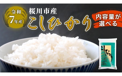 
                  【 令和7年産 】 数量限定 桜川市産 こしひかり 5kg 10kg 15kg 茨城県産 桜川 米 お米 白米 コメ ごはん 精米 コシヒカリ 国産 限定 [AX006sa00]
                