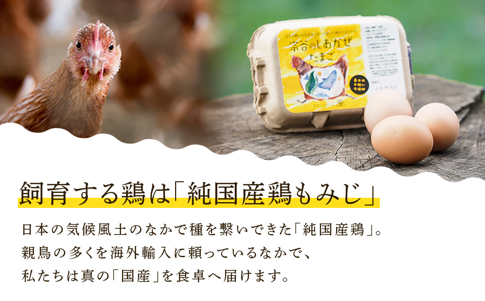 宗谷のしおかぜたまご30個入(10個入×3ケース)