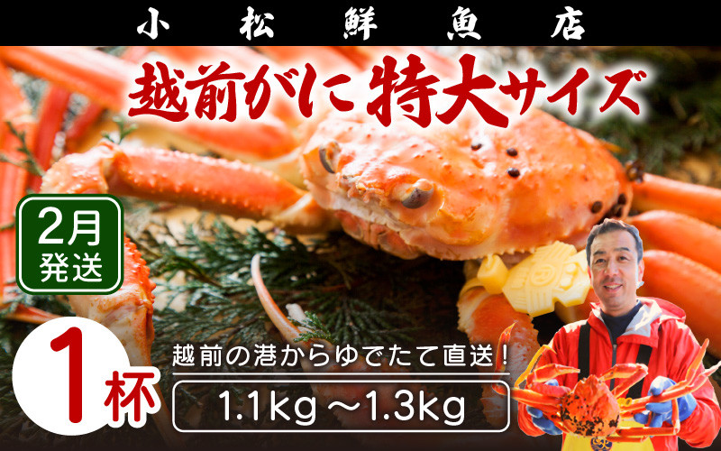 
            越前がに本場の越前町からお届け！ ≪浜茹で≫越前がに 特大サイズ × 1杯（1.1～1.3kg）【かに カニ 蟹】地元で喜ばれるゆで加減・塩加減で越前の港から直送！【福井県 越前町 雄 ズワイガニ ボイル 冷蔵 越前ガニ 越前かに 越前カニ ずわいがに ずわい蟹 かに カニ 蟹】【2月発送分】希望日指定可 備考欄に希望日をご記入ください [e23-x016_02]
          