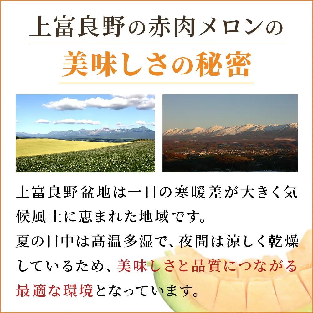 【令和8年産】ふらの 赤肉メロン 2kg～2.6kg 2玉 厳選 秀品 メロン