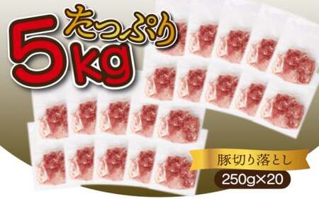 ＜2025年11月発送分＞宮崎県産 豚肉切り落とし 250g×20パック 合計5kg