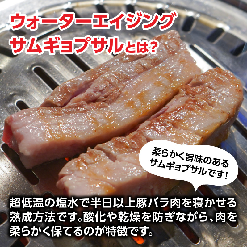 ウォーターエイジングサムギョプサル店ナンマンゴギお食事券10,000円分
