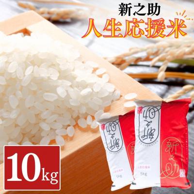 ふるさと納税 三条市 新之助人生応援米10kg(5kg×2) 令和7年産 新之助 白米 【024S033】