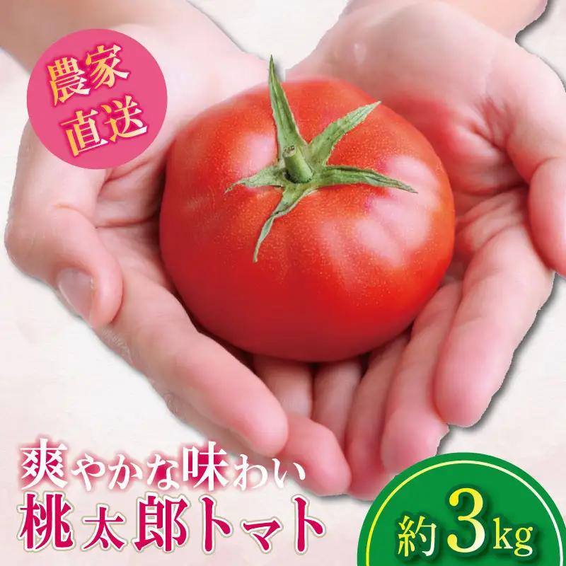 【2027年3月発送】 桃太郎トマト 約3kg 先行予約 トマト