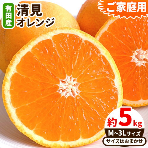 【ふるさと納税】【先行予約】ご家庭用 有田産 清見 オレンジ約 5kg（M〜3Lサイズおまかせ） 日高町厳選館《2026年2月中旬-3月末頃より出荷予定》和歌山県 日高町 柑橘 果物 フルーツ 清見オレンジ