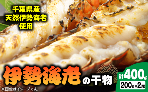 伊勢海老の干物200g×2尾【配送不可地域：離島】