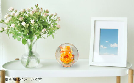 プリザーブドフラワー　ガラスドーム (オレンジ) / 花 プレゼント 贈答用 ガラス 母の日 父の日 入学式 卒業式 菊陽町 熊本県【株式会社 美向】[BHDC001]