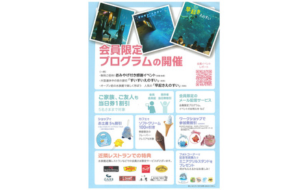 チケット 神奈川 【新江ノ島水族館】年間パスポート引換券(大人2枚) 有効期間2024年10月～12月末まで 水族館 パスポート 入場券 江ノ島 藤沢市 神奈川県 プレゼント ギフト