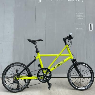 ふるさと納税 さぬき市 FXαマスカットグリーン