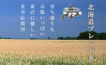 【定期便】令和7年度産 北海道ブレンド米 (3kg) 3ヶ月毎月発送_05539