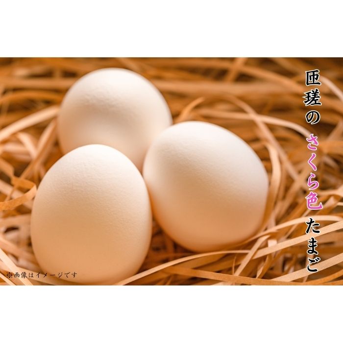 【ふるさと納税】選べる容量　匝瑳の“さくら色”たまご　Lサイズ　贈答用 ／ 卵 タマゴ 玉子 こだわり 新鮮 送料無料 千葉県