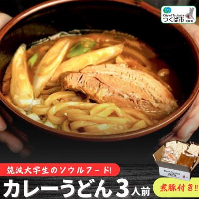 ふるさと納税 つくば市 筑波大学生のソウルフード!  ZEYO.のカレーうどん 3人前(煮豚付き)