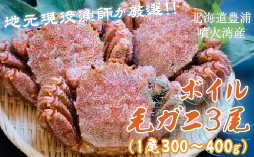 
            【地元現役漁師が厳選！！】ボイル・毛ガニ3尾（1尾300～400g）北海道 豊浦 噴火湾 【 ふるさと納税 人気 おすすめ ランキング 魚介類 カニ 蟹 かに 毛がに 毛蟹 大容量 お得 おいしい 美味しい 新鮮 北海道 豊浦町 送料無料 】 TYUR008
          