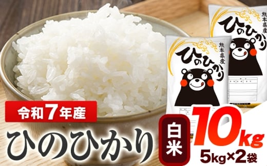 令和7年産 ひのひかり 白米 10kg 熊本県産 白米 精米 ひの 送料無料 熊本県 山江村 《7-14日以内に出荷予定(土日祝除く)》