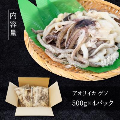 ふるさと納税 田野町 【四国一小さなまち】アオリイカのゲソ★2kg★(500g×4パック) |  | 03