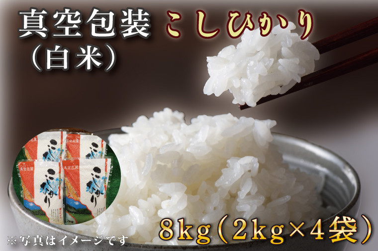 
            ★真空包装★R6年産こしひかり 8kg(2kg×4袋)(白米)｜米 こめ お米 コシヒカリ こしひかり 真空 真空包装 白米 人気 個包装 茨城県 行方市 送料無料(CZ-8)
          