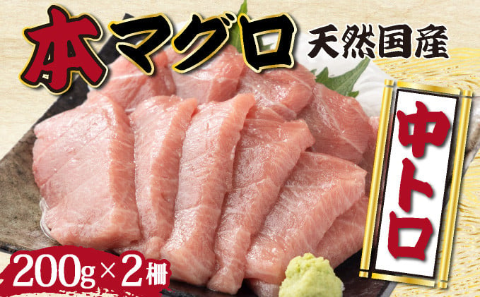 
            【漁師直送】天然本マグロ 中トロ 400g 国産 柵 19000
          