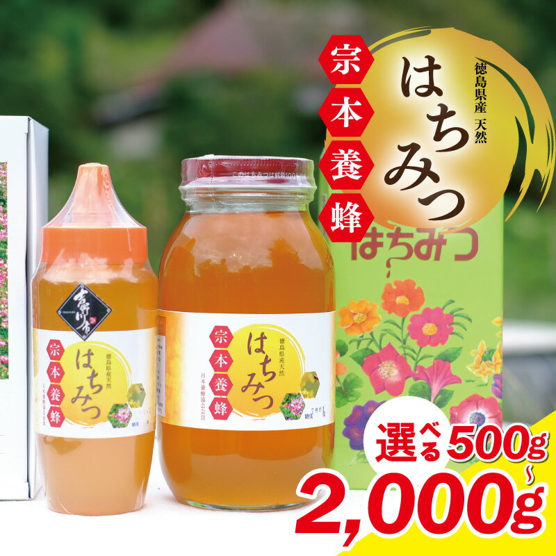 【ふるさと納税】 はちみつ 国産 選べる 容量 500g 〜 2kg 天然 完熟 蜂蜜 健康 無添加 栄養豊富 生はちみつ ハチミツ 化粧箱入 ギフト 贈答 人気 ヨーグルト パン ハニー メープル ケーキ アイス 調味料 美容 常温保存 保存食 備蓄 防災 送料無料 徳島県 吉野川市