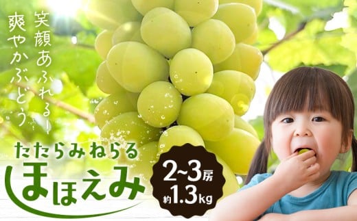 【先行予約】たたらみねらる ほほえみ 2-3房(約1.3kg) Ｙ＆Ｇ．ディストリビューター株式会社《2026年8月中旬-10月上旬頃出荷》岡山県 笠岡市 果物 フルーツ ブドウ お取り寄せフルーツ シャインマスカット の交配品種