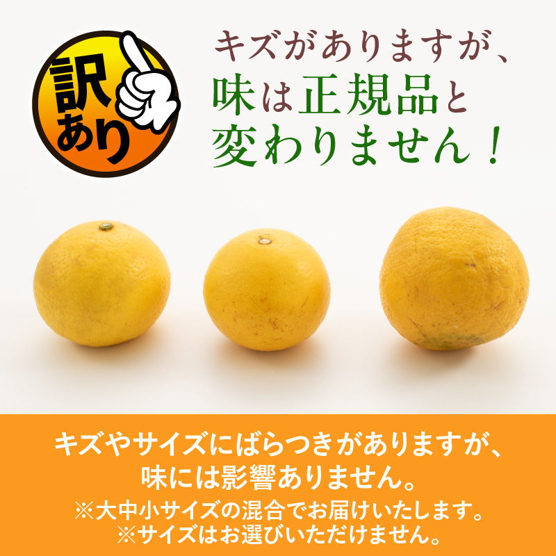 先行予約 訳あり 海藻木酢 日向夏 小夏 計8kg以上 傷み補償分付き 期間限定 数量限定 フルーツ 果物 くだもの 柑橘 みかん 訳アリ 国産 食品 デザート おやつ おすそ分け_BA80-24_イ