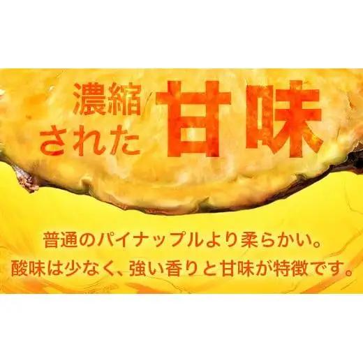 パイナップル 【先行予約】ポコットパイン1ｋｇ（1～2玉）　KN-3