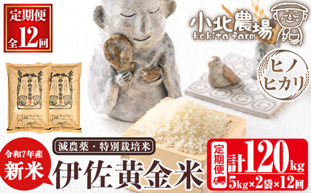 isa793 《数量限定・12回定期便》令和7年産 小北農場のお米 伊佐黄金米〈ヒノヒカリ〉(計120kg・5kg×2袋×12回) 鹿児島 伊佐 お米 120kg 定期便 12回 特別栽培米 伊佐米 白米 ヒノヒカリ ひのひかり おにぎり ごはん  【小北農場】